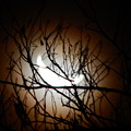 waning crescent moon 2